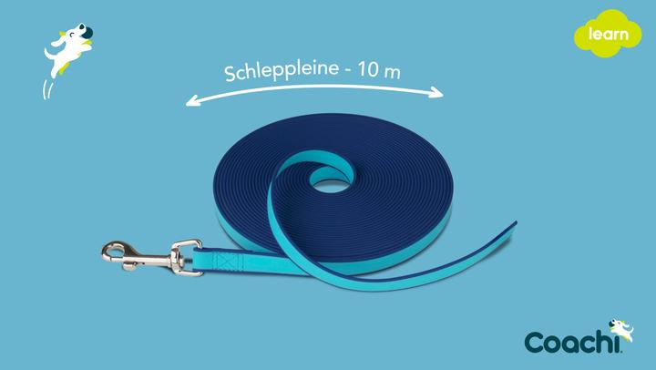 Produktbild Company of Animals Coachi Schleppleine wasserfest