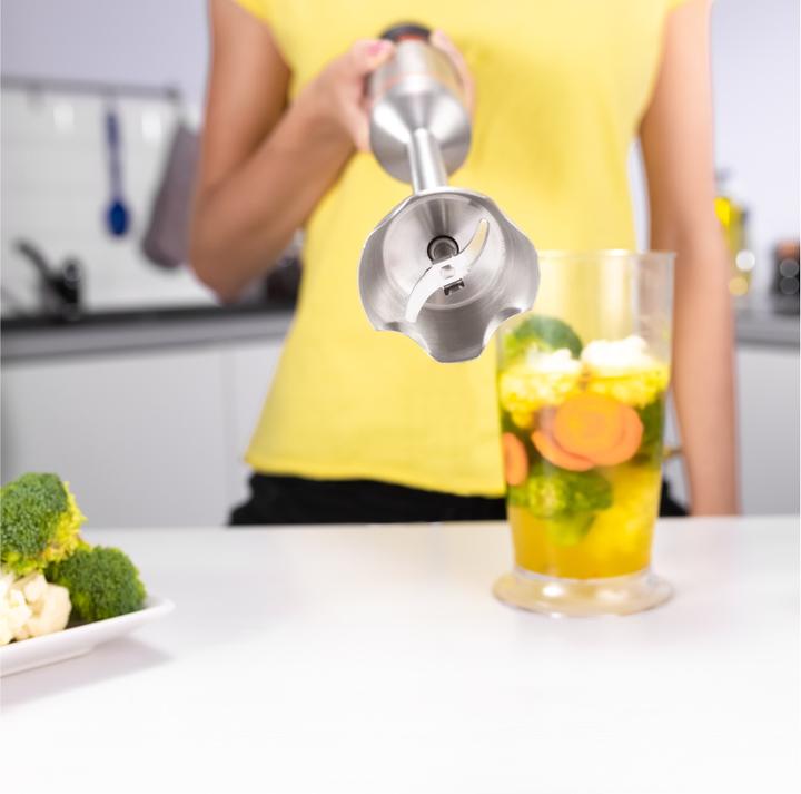 Actual product image Zelmer Blenderis ZHB4650