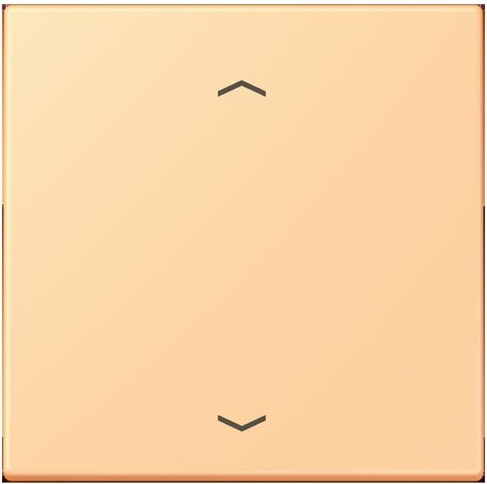 Actual product image JUNG Rocker