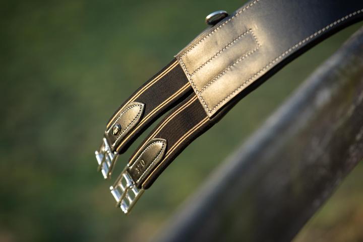 Produktbild HFI Master Sattelgurt