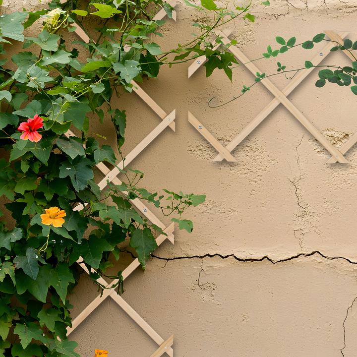 Image du produit Relaxdays 3x tuteurs-à-tomates (1 cm, 30 cm)