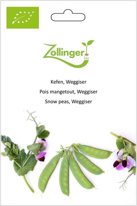 Image du produit Zollinger Bio Kefen, Weggiser (Graines de plantes)
