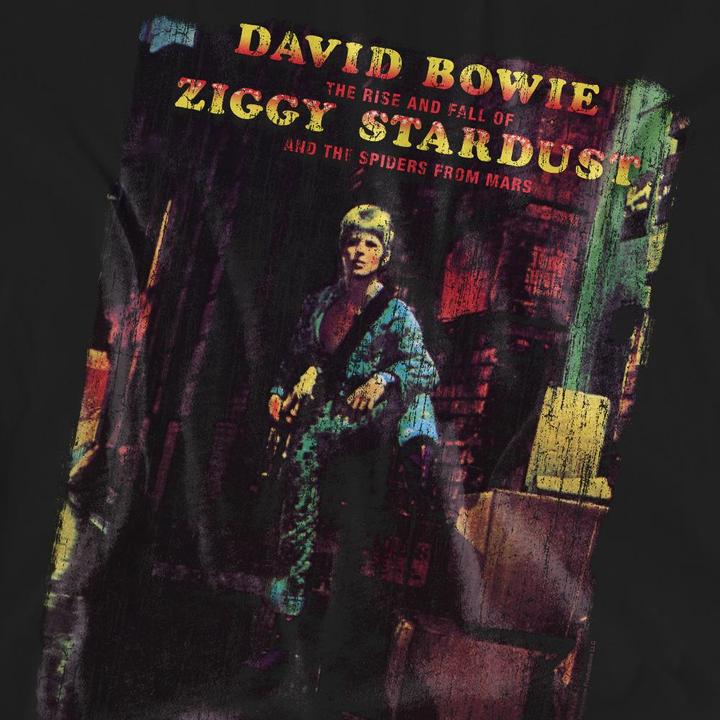 Produktbild David Bowie Ziggy Stardust Album TShirt (L)