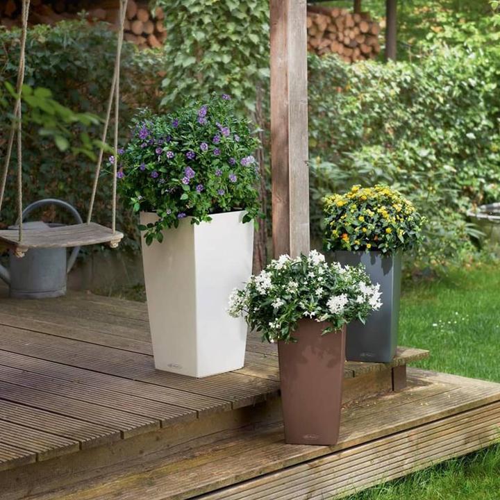 Produktbild Lechuza Cubico Color (22 cm)