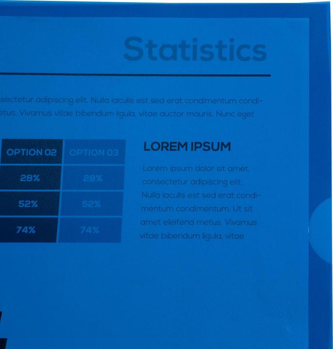 Actual product image Exacompta Sleeves and bags (A4, 10x)