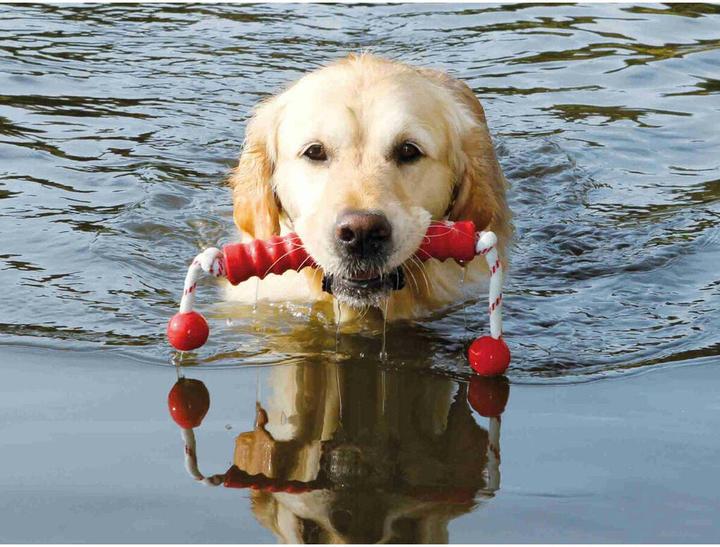 Produktbild Trixie Dog Activity Mot-Long 20cm/42cm (Apportieren, Kauspielzeug Hund)