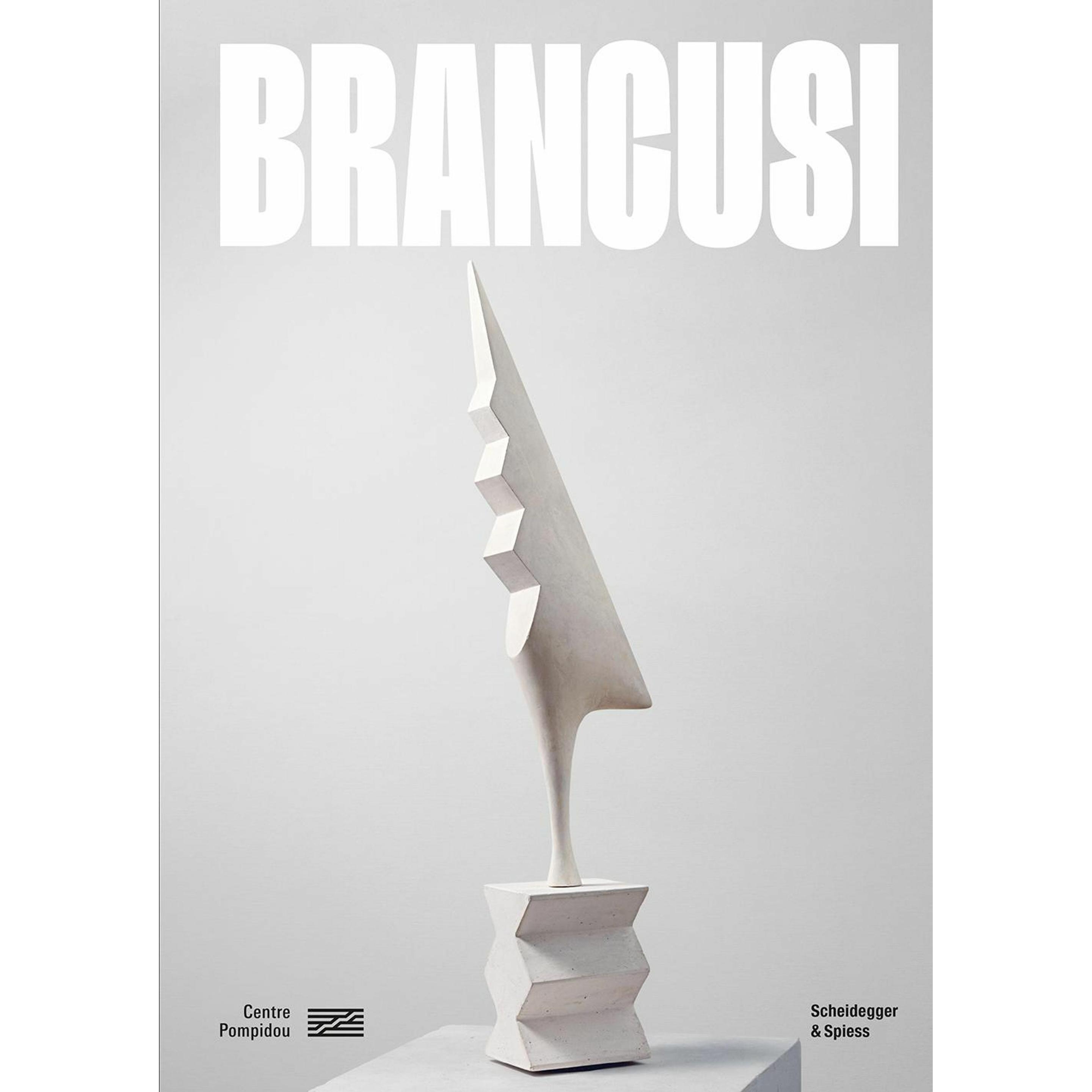 Brancusi, Sachbücher von Constantin Brancusi