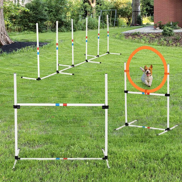 Actual product image PawHut Pet training set including bag (Agility)