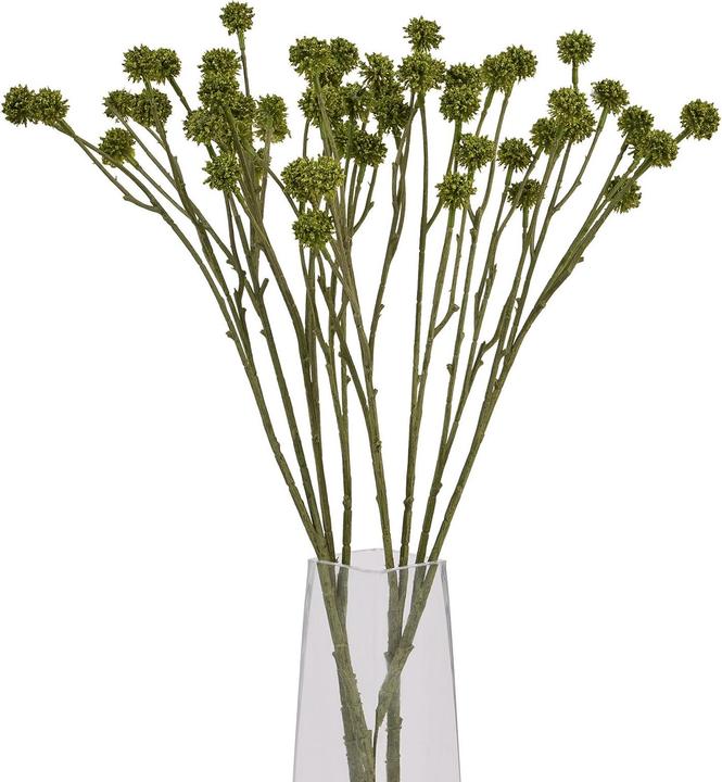 Immagine prodotto Hill Interiors Craspedia Pianta artificiale (60 cm)