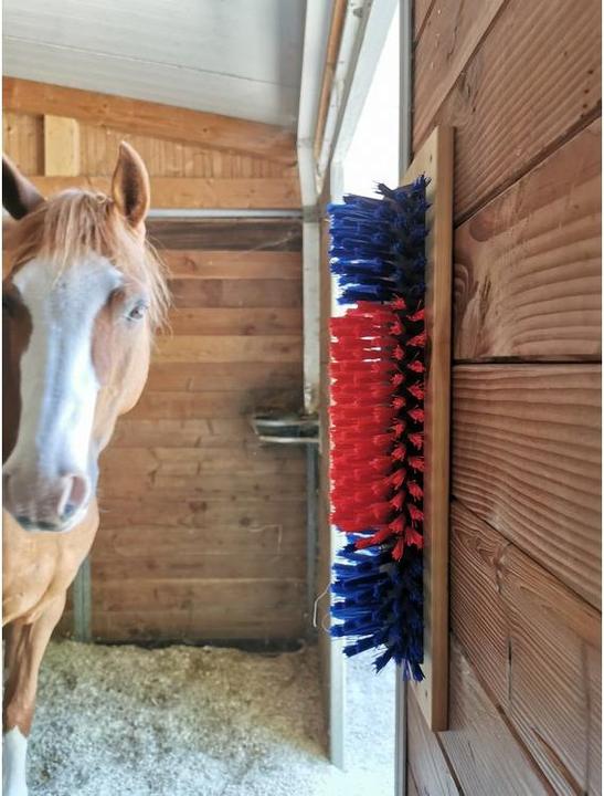 Actual product image Kerbl Scratching brush