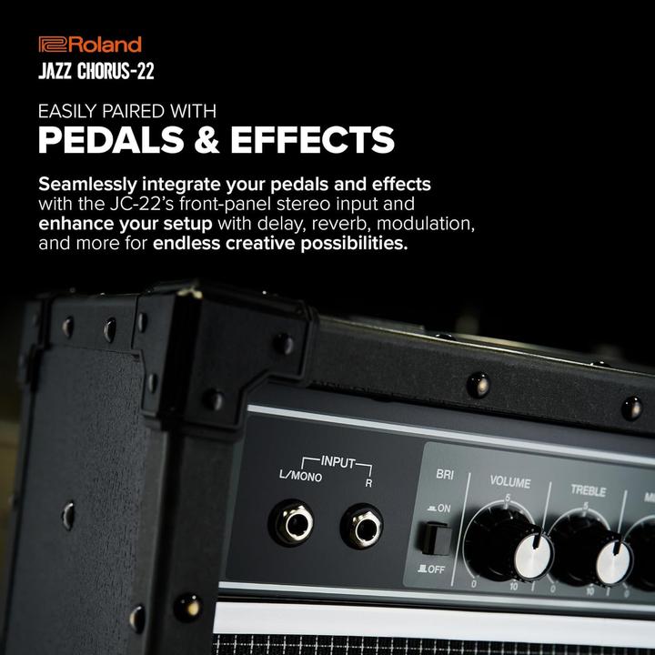 Immagine prodotto Roland Amplificatore per chitarra JC-22 (Chitarra, 30 W)