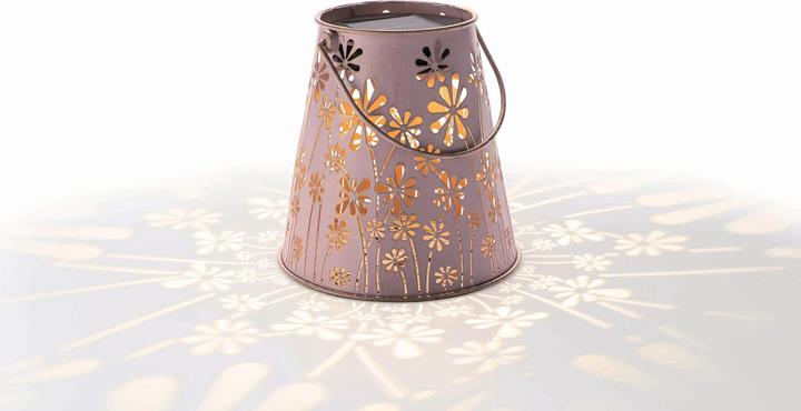 Image du produit STT Antic Daisy