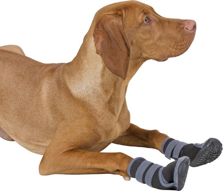 Produktbild Kerbl Active (L)