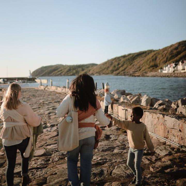 Image du produit Mushie Etui à tétine Powder