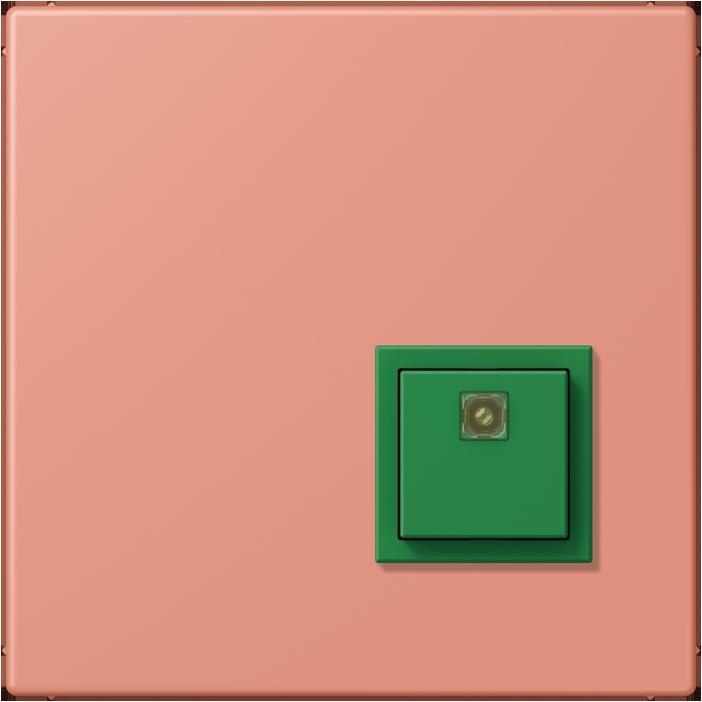 Actual product image JUNG Switch-off button