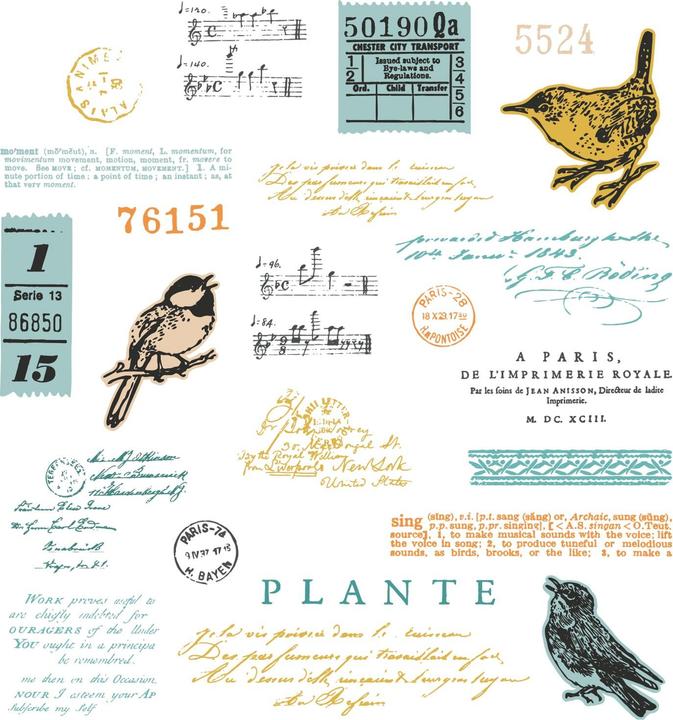 Sizzix Set di Timbri trasparenti A5 23 Pezzi e 5 fustelle Framelits - Canto degli uccelli di 49 and Market