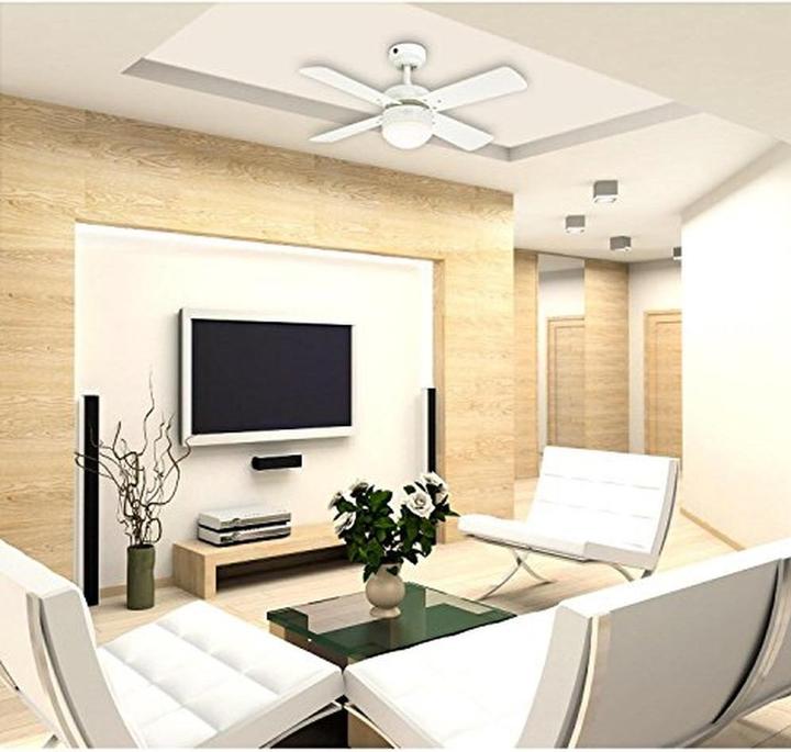 Immagine prodotto Westinghouse Colosseum (48 dB)