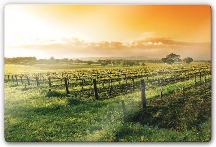 Produktbild Trenddeko Wein im Sonnenuntergang (60 x 40 cm)