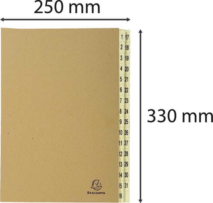 Actual product image Exacompta Folders with pleated spine (A4, 1x)