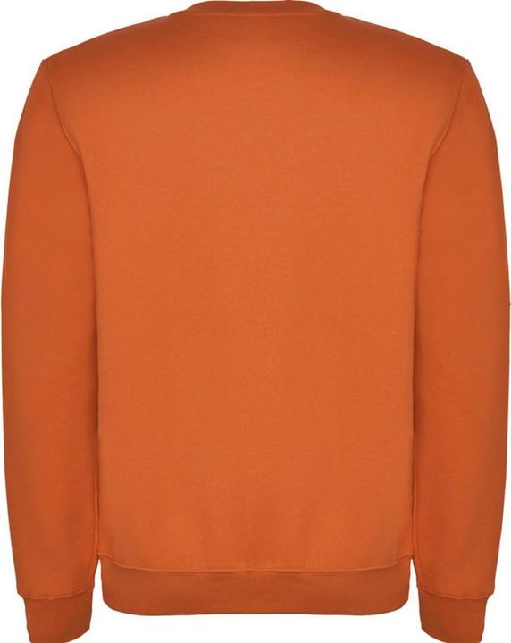 Produktbild Alpinia Clasica Sweatshirt Rundhalsausschnitt (128)