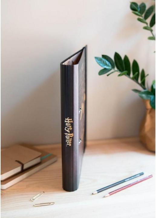 Image du produit Erik Harry Potter - Vif d'Or 2 Anneaux (A4, 1 pcs)