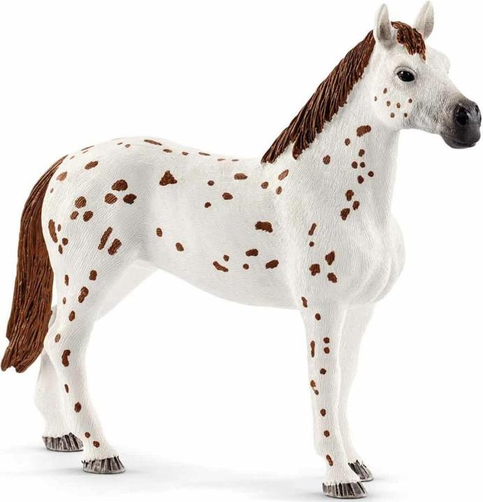 Produktbild Schleich Turnier Trainingsset
