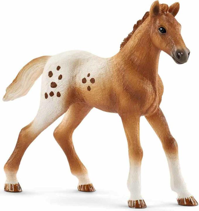 Produktbild Schleich Turnier Trainingsset