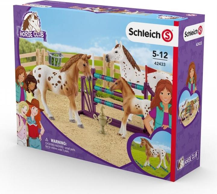 Produktbild Schleich Turnier Trainingsset