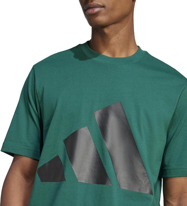 Actual product image adidas Essentials Big Logo (L)