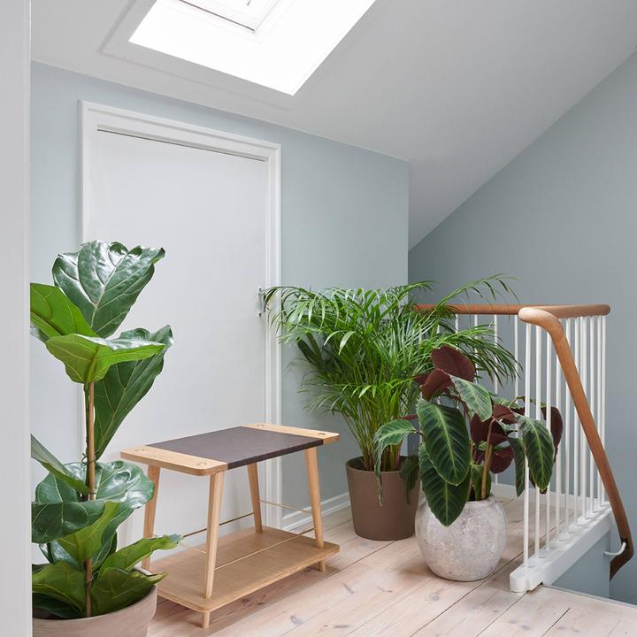 Produktbild Umage Convenience (60 x 38 x 45 cm)