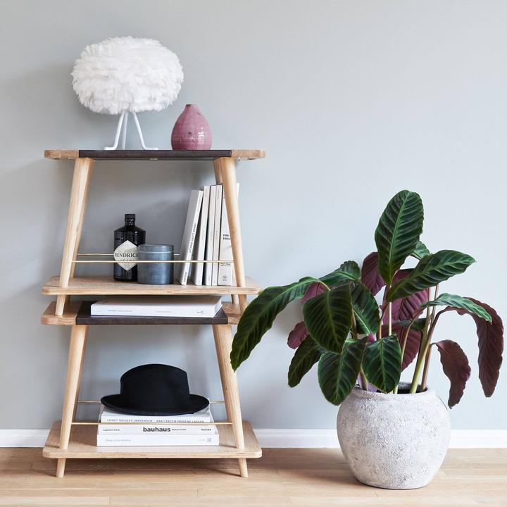 Produktbild Umage Convenience (60 x 38 x 45 cm)