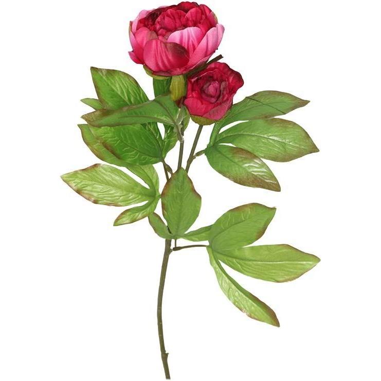 Domoletti, Pianta artificiale, ARTIFICIAL FLOWER PEONY 8025.20 DA (68 cm)