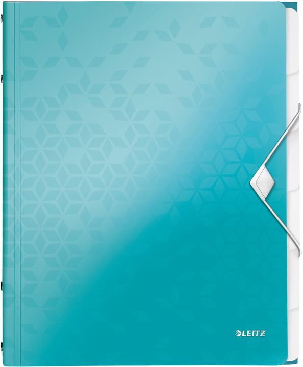 Produktbild Leitz WOW - Ordner mit Abteilungen (A4, 1x)