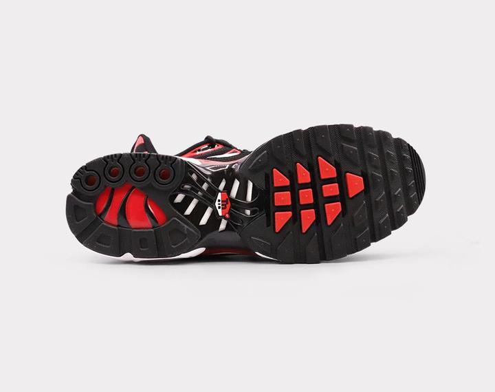 Actual product image Nike Air Max Plus (42)