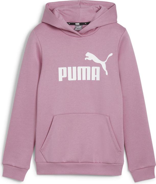 Puma ESS Logo Hoodie FL G (128)