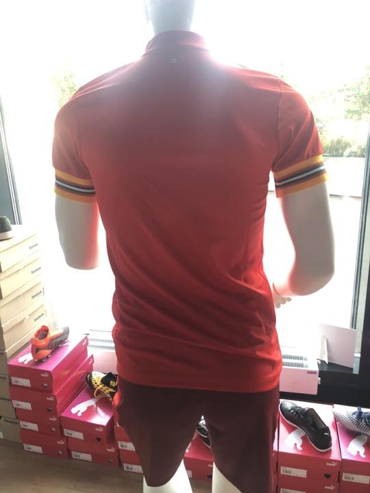 Actual product image adidas Wales EM Jersey (S)