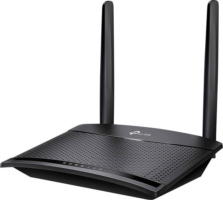 Actual product image TP-Link TL-MR100