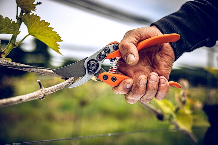 Produktbild Löwe 11 Profi Gartenschere Bypass, Standardgriff