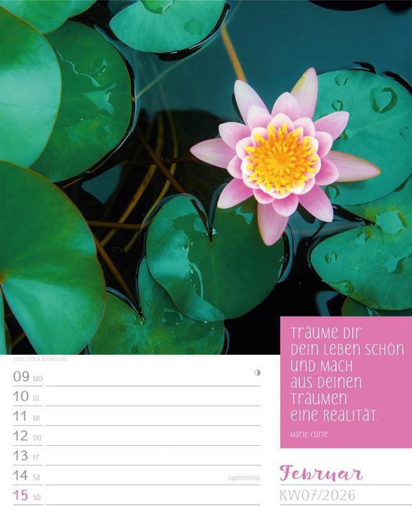 Image du produit Augenblicke der Achtsamkeit - Wochenplaner Kalender 2026 (25 x 33 cm, Couverture rigide, Allemand)