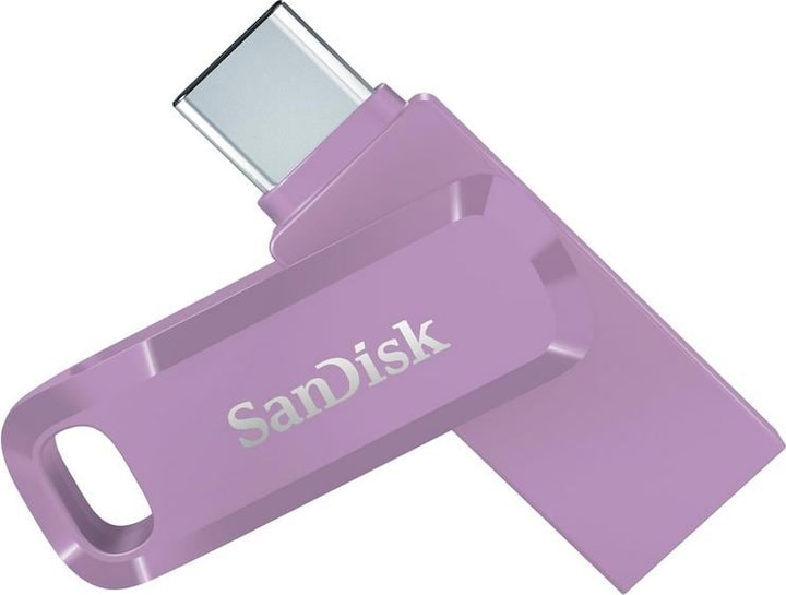 SanDisk Ultra Dual Drive Go (1000 GB, USB 3.2, USB-C)