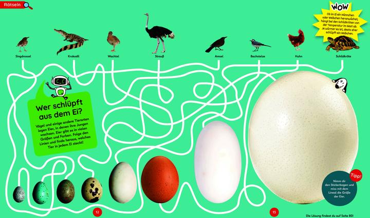 Actual product image Dudu forscht. Von A bis Z (German, Anke Peterson, Sandra Klostermeyer, 2025)