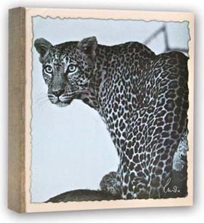 Productafbeelding ZEP WL57100 Album Slip-in 100 foto's 13x19 cm - 12 albums (13 x 19 cm)