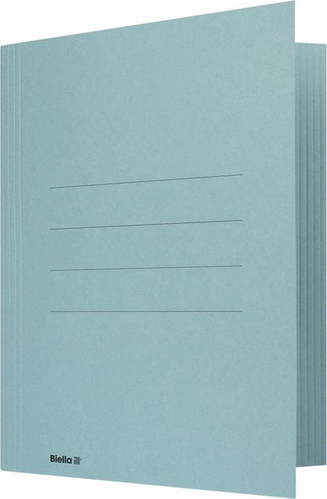 Actual product image Biella File collector jury folder (A4, 1x)
