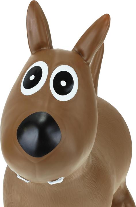 Image du produit Relaxdays Animal gonflable