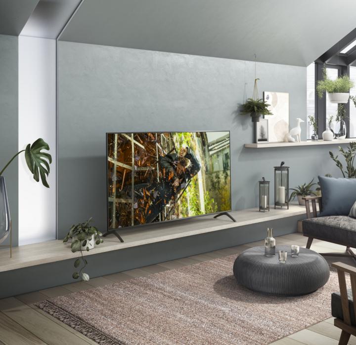 Image du produit Panasonic TX-65HXW904 (65", LCD, 4K, 2020)