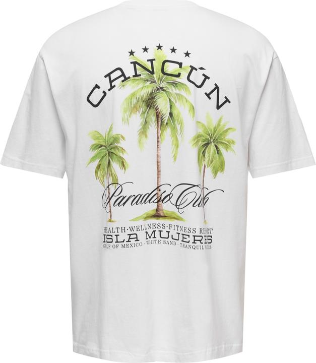 Image du produit Only & Sons Onskeane Rlx Ss Print Tee Noos (XL)