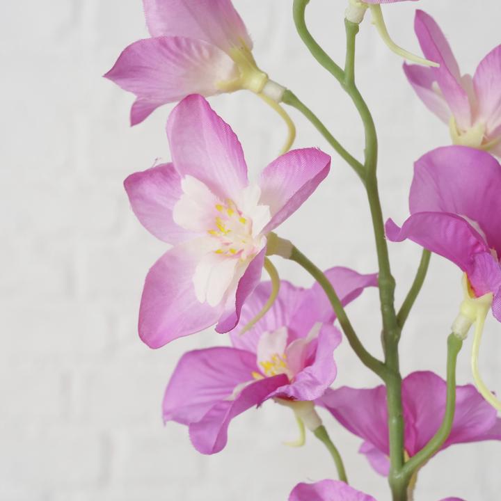 Image du produit Boltze Home Branche décorative