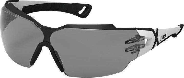 Actual product image Uvex Safety Safety goggles
