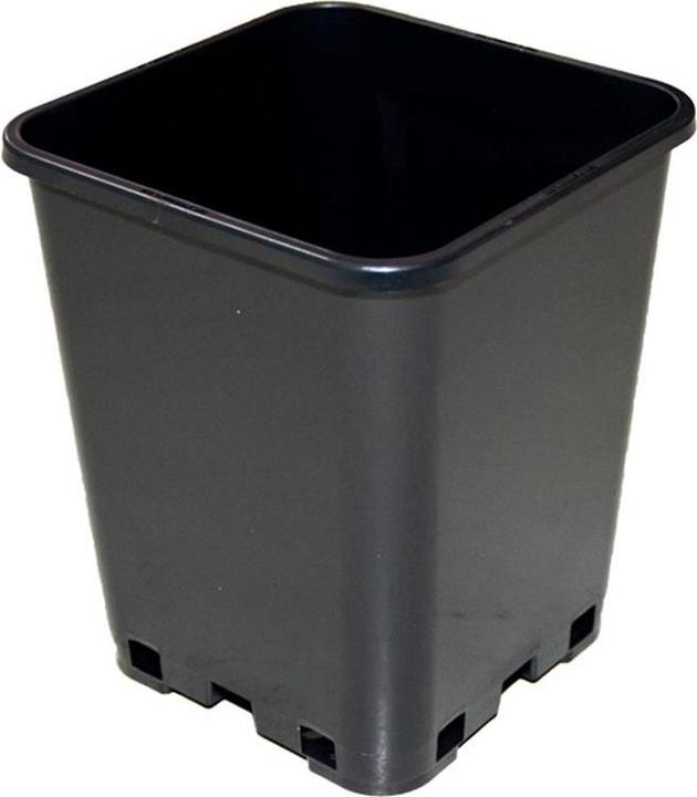 Actual product image Tamar Square pot