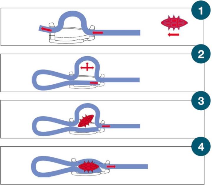 Immagine prodotto Compass Morsetto a corda Sharky